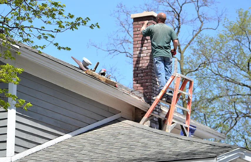 Chimney & Fireplace Inspections Services in Conyers, GA